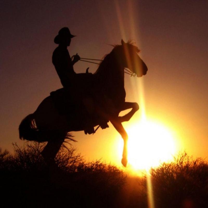 Cowboy au coucher du soleil au Stagecoach Trails Guest Ranch